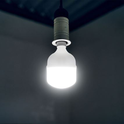 LED Sijalica T100 E27/30W/230V 6500K