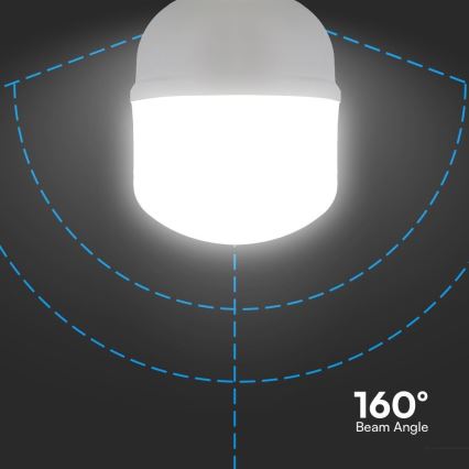 LED Sijalica T100 E27/30W/230V 6500K