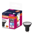 LED Sijalica VALUE PAR16 GU10/4,5W/230V 6500K 36° crno - Ledvance