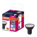 LED Sijalica VALUE PAR16 GU10/6,9W/230V 6500K 36° crno - Ledvance