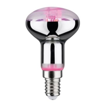 LED Sijalica za rast biljaka GROW zeleno R50 E14/4W/230V - Paulmann 28734