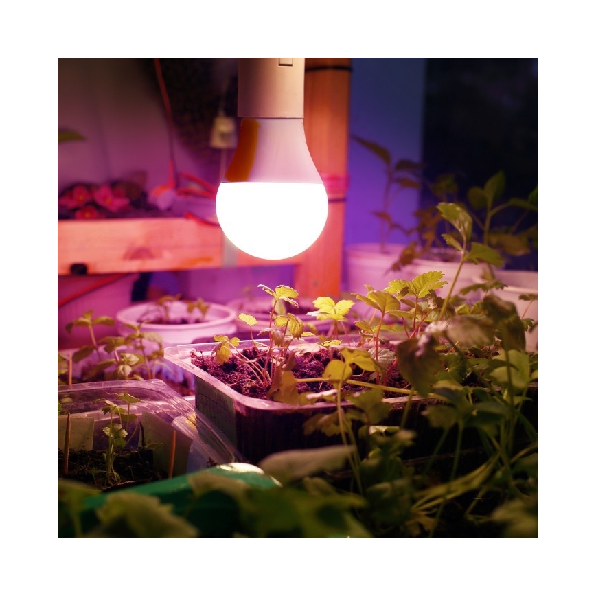 LED sijalica za rast biljaka PLANTY E27/11W/230V 1200K bela