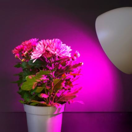 LED sijalica za rast biljaka PLANTY E27/11W/230V 1200K bela