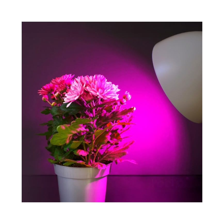 LED sijalica za rast biljaka PLANTY E27/11W/230V 1200K bela