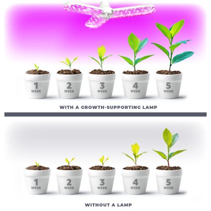 LED Sijalica za rast biljaka PLANTY E27/24W/230V 1200K
