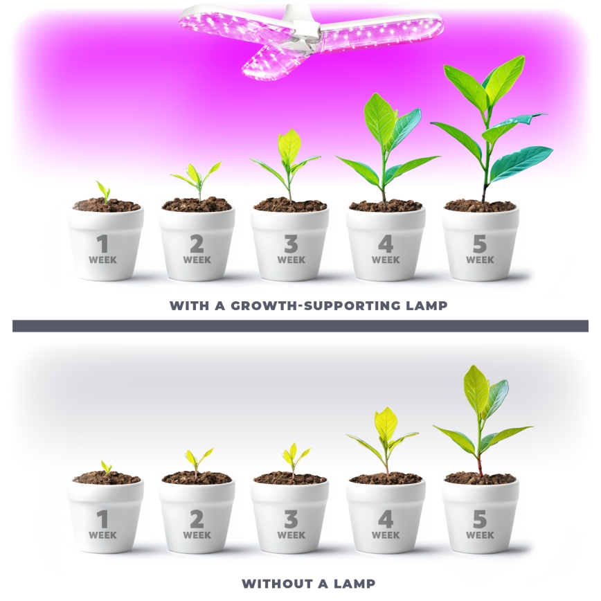 LED Sijalica za rast biljaka PLANTY E27/24W/230V 1200K