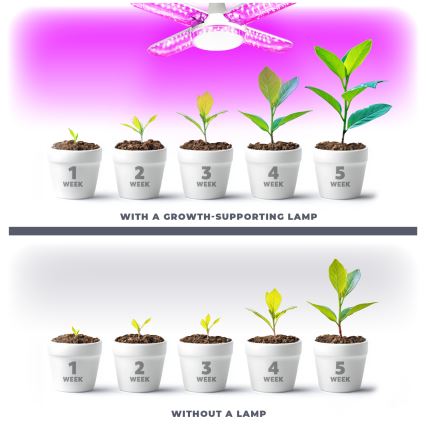 LED Sijalica za rast biljaka PLANTY E27/40W/230V 1200K