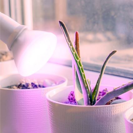 LED sijalica za rast biljaka PLANTY E27/7W/230V 1200K bela