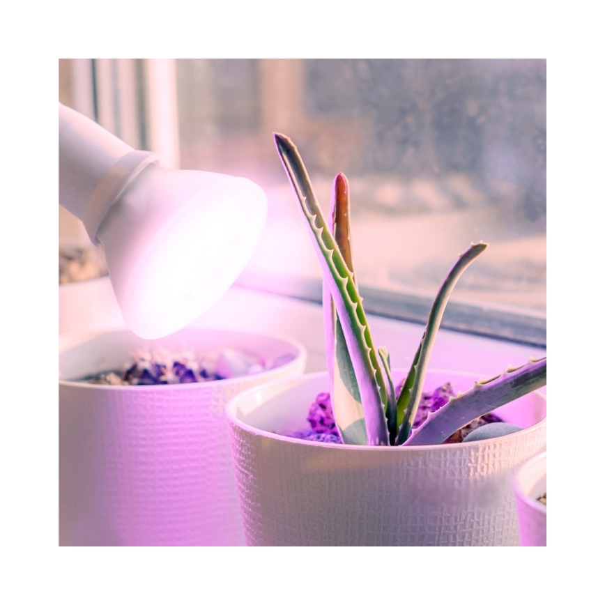 LED sijalica za rast biljaka PLANTY E27/7W/230V 1200K bela