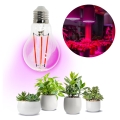 LED Sijalica za rast biljaka PLANTY E27/8W/230V 1200K