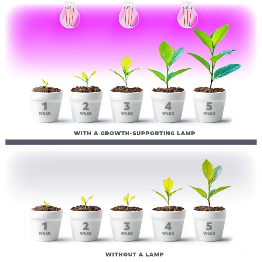 LED Sijalica za rast biljaka PLANTY E27/8W/230V 1200K