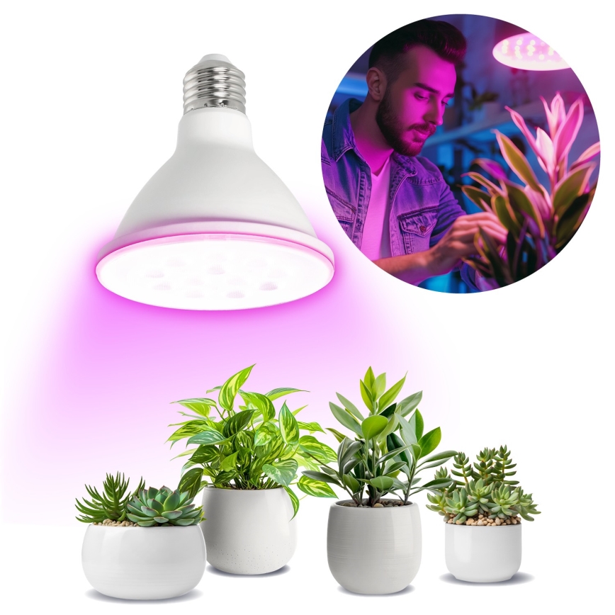 LED Sijalica za rast biljaka PLANTY E27/9W/230V 1200K bela