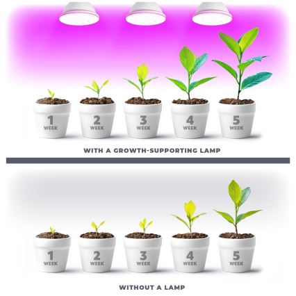LED Sijalica za rast biljaka PLANTY E27/9W/230V 1200K bela