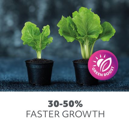 LED Sijalica za rast biljaka PLANTY E27/9W/230V 1200K bela