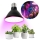 LED Sijalica za rast biljaka PLANTY E27/9W/230V 1200K crno