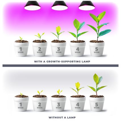 LED Sijalica za rast biljaka PLANTY E27/9W/230V 1200K crno