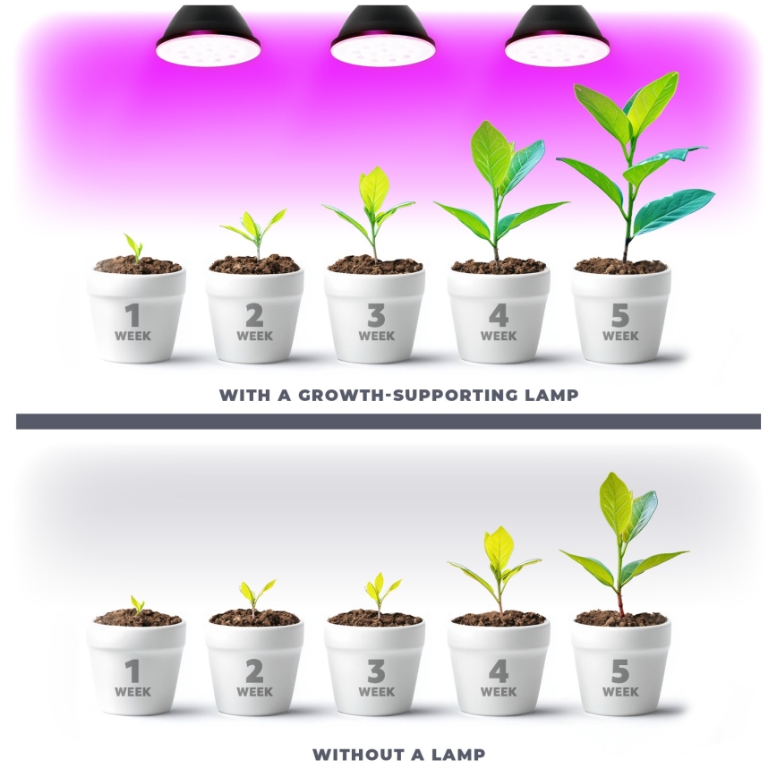LED Sijalica za rast biljaka PLANTY E27/9W/230V 1200K crno