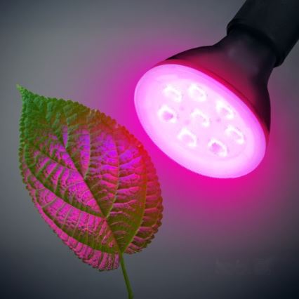 LED sijalica za uzgoj biljaka PLANTY E27/7W/230V 1200K crna