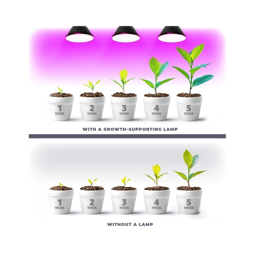 LED sijalica za uzgoj biljaka PLANTY E27/7W/230V 1200K crna