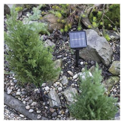 LED solarna dekoracija 50xLED/3W/1,2V 600 mAh IP44