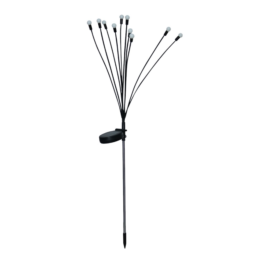LED solarna dekorativna lampa 10xLED/1,2V 3000K 73 cm IP44