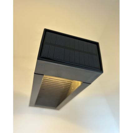 LED solarna lampa 2xLED/1,2V 200 mAh IP44 crna