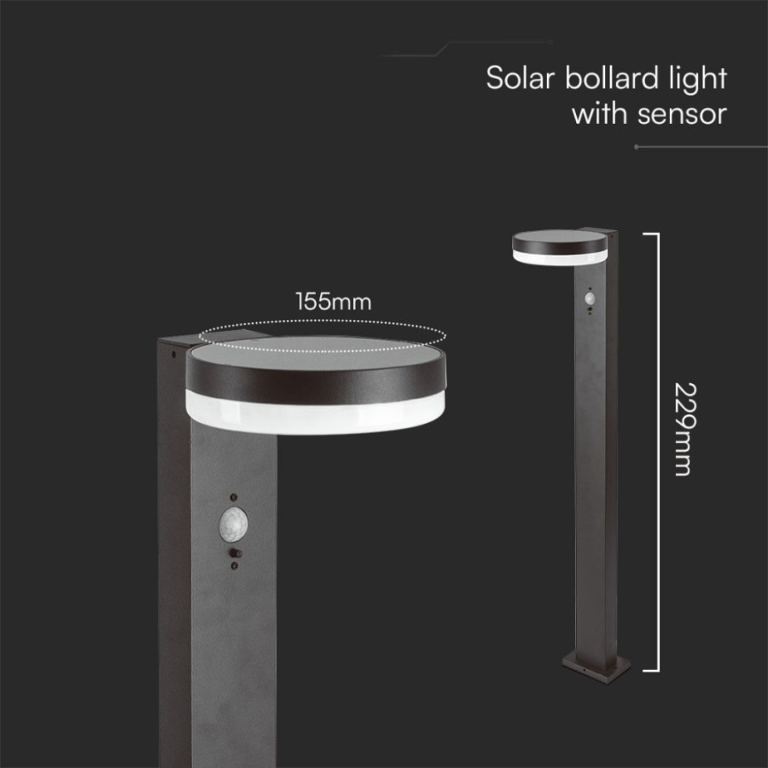 LED Solarna lampa sa senzorom LED/2W/3,7V IP54 3000K okrugli crno