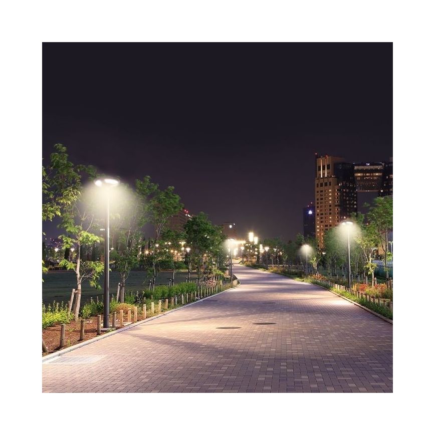 LED Solarna ulična svetiljka sa senzorom LED/10W/3,2V IP65 4000K + Daljinski upravljač