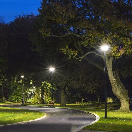 LED Solarna ulična svetiljka sa senzorom LED/7,5W/3,2V IP65 4000K + Daljinski upravljač