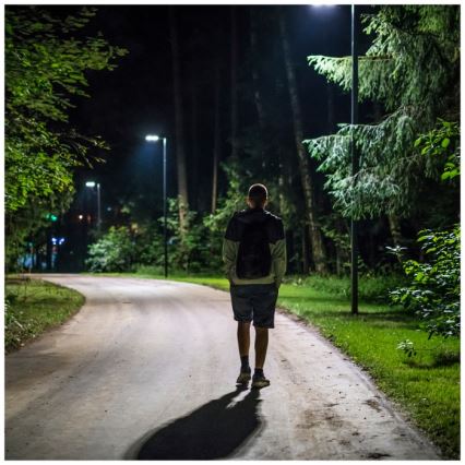 LED Prigušiva solarna ulična lampa sa senzorima za pokret i dan-noć URBI LED/8W/3,2V 6500K IP54 10000 mAh + Daljinski upravljač