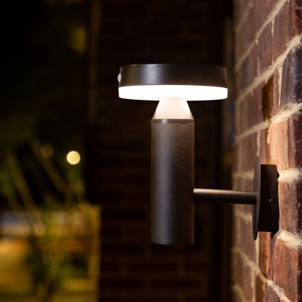 LED Solarna zidna lampa sa senzorom GWINEA LED/4,5W/3,7V IP44 crno