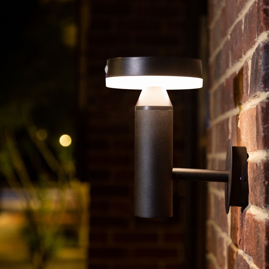 LED Solarna zidna lampa sa senzorom GWINEA LED/4,5W/3,7V IP44 crno