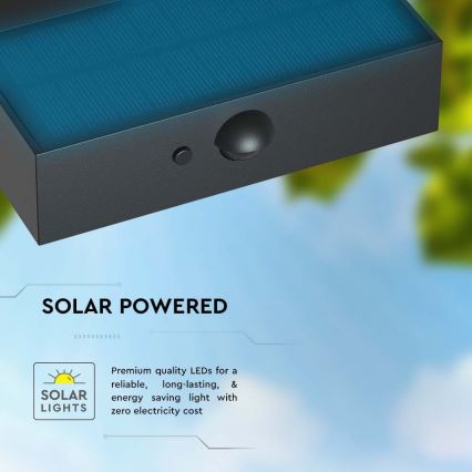 LED Solarna zidna lampa sa senzorom LED/3W/3,7V 3000K/4000K IP65 crno