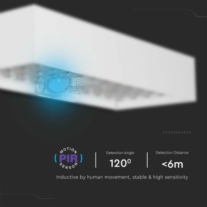 LED Solarna zidna lampa sa senzorom LED/6W/3,7V IP65 4000K bela