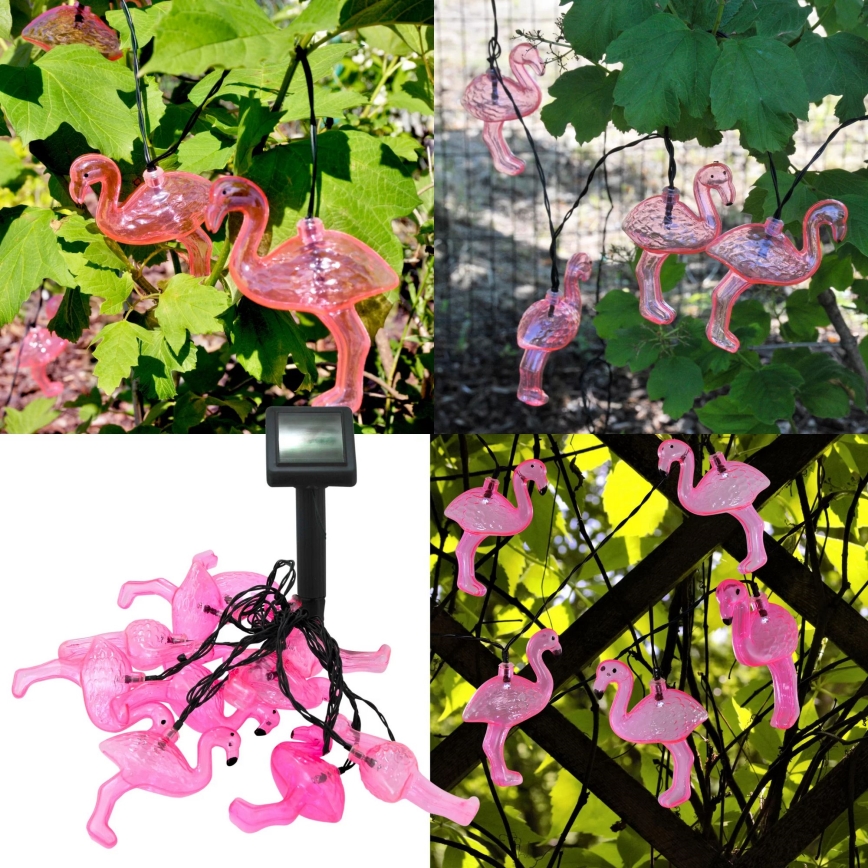 LED Solarni dekorativni lanac 10xLED 3,8 IP44 flamingo
