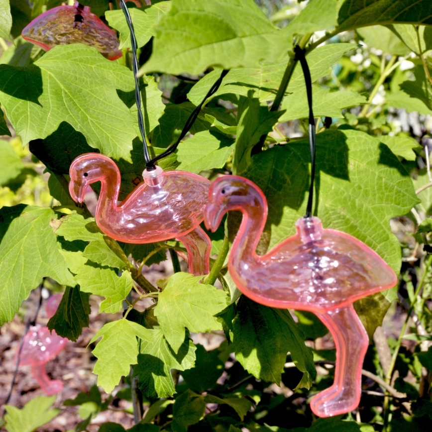 LED Solarni dekorativni lanac 10xLED 3,8 IP44 flamingo