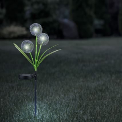 LED Solarno svetlo ALLIUM LED/1,2V 6500K 600 mAh IP44 crno