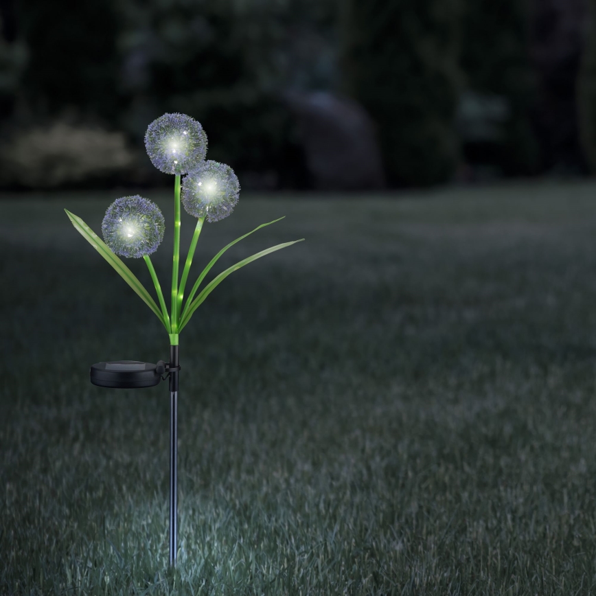 LED Solarno svetlo ALLIUM LED/1,2V 6500K 600 mAh IP44 crno