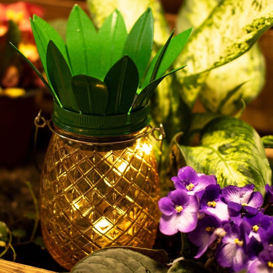 LED Solarno svetlo JAR LED/1,2V IP44 ananas