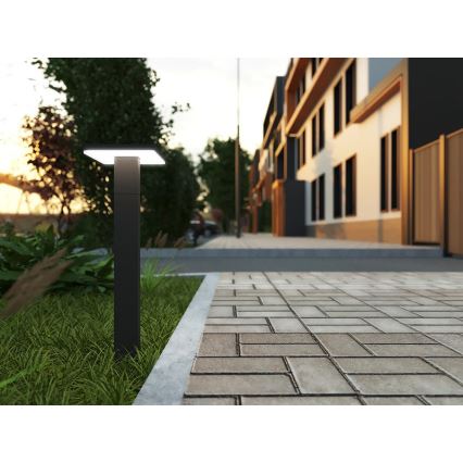 LED Spoljašnja lampa sa senzorom BARI LED/10W/230V 4000K 60 cm IP54 antracit