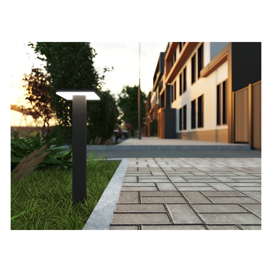 LED Spoljašnja lampa sa senzorom BARI LED/10W/230V 4000K 60 cm IP54 antracit