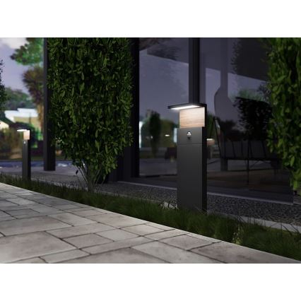 LED Spoljašnja lampa sa senzorom NATURA LED/12W/230V 4000K IP54 braon/antracit