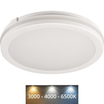 LED Spoljašnja plafonjera BENO ECO LED/40W/230V 3000/4000/6500K pr. 40 cm IP65 bela