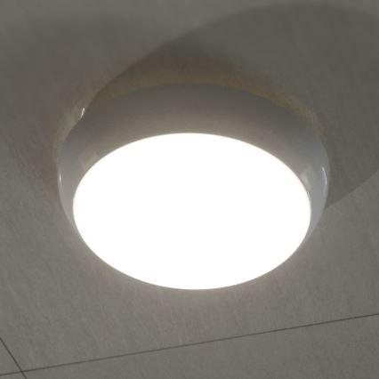 LED Spoljašnja plafonjera LED/8W/16W/20W/230V IP65 3000/4000/6500K