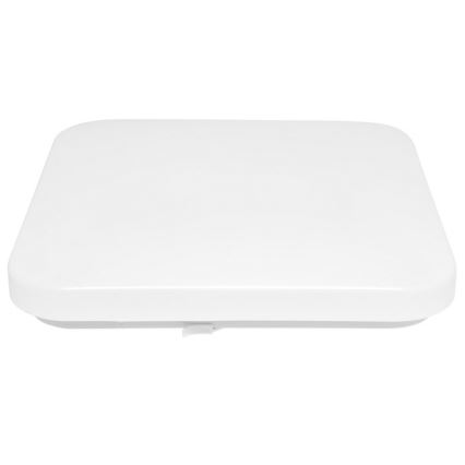 LED Spoljašnja plafonjera LUKA LED/42W/230V IP44