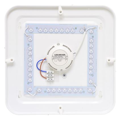 LED Spoljašnja plafonjera LUKA LED/42W/230V IP44