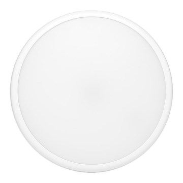 LED Spoljašnja plafonjera MOVA LED/16W/230V IP65