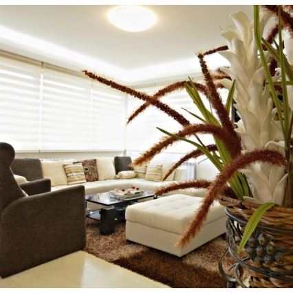 LED Spoljašnja plafonjera NELA LED/32W/230V IP44