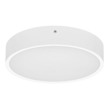 LED Spoljašnja plafonjera sa senzorom MARTIN LED/15W/230V 3000/4000K pr. 30 cm IP65 bela