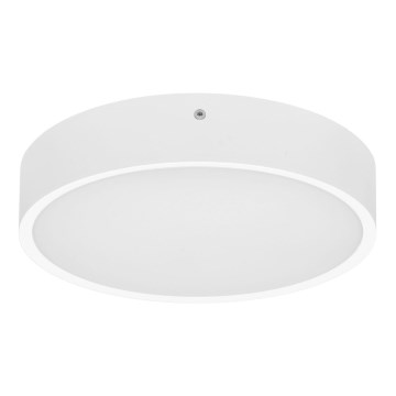 LED Spoljašnja plafonjera sa senzorom MARTIN LED/25W/230V 3000/4000K pr. 35 cm IP65 bela